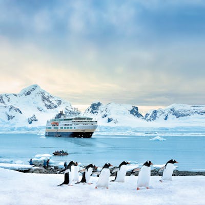 Ekspeditions-krydstogter